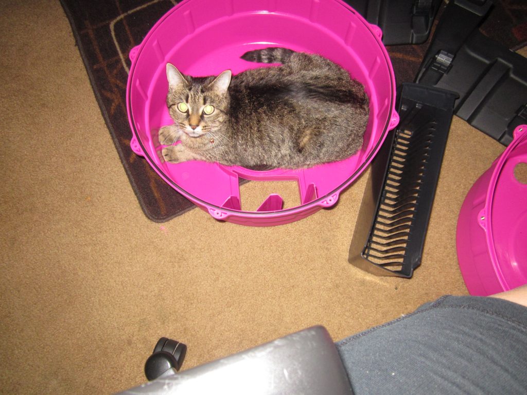 Litter Spinner Cat Litter Box, my cat love's it!