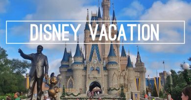 Tips and Tricks to a Magical Disney Vacation!