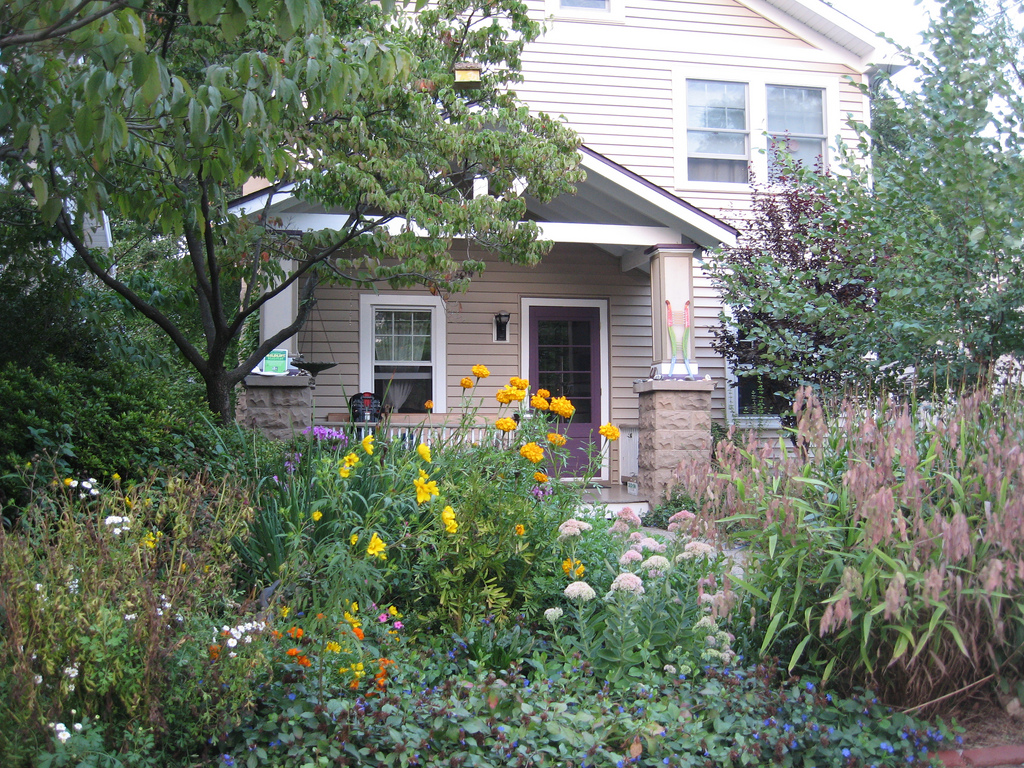 How to Landscape Your Front Yard. - Night Helper