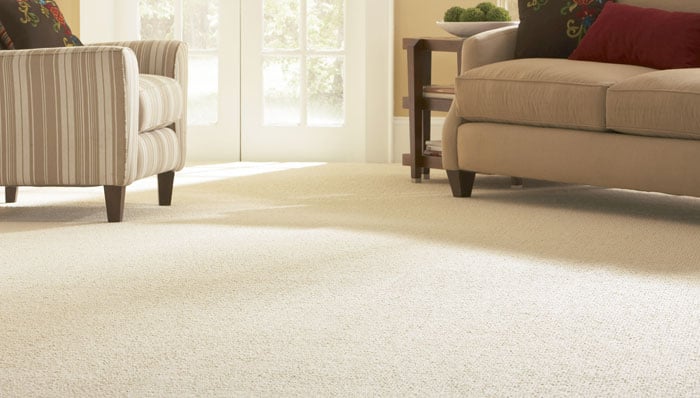 4 Proactive Measures to Protecting Your Carpet from Your Toddler.