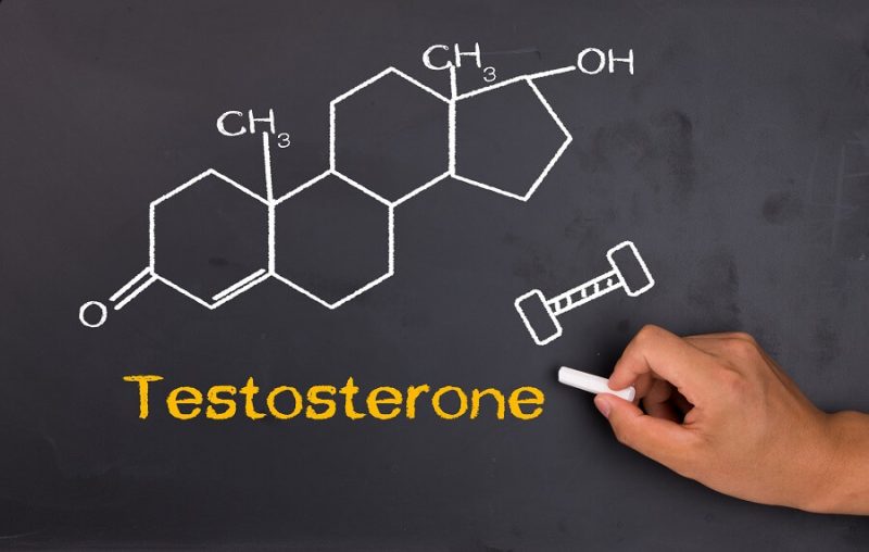 5 Ways in Which Testosterone Boost Your Productivity.