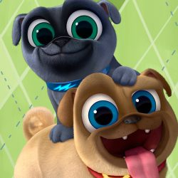 PUPPY DOG PALS Is Now Available On DVD And We Celebrated - Night Helper