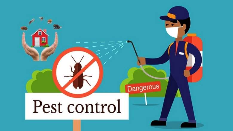 PEST CONTROL TIPS YOU NEED TO KNOW! - Night Helper