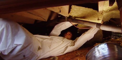 DIY Tips For Crawl Space Cleaning