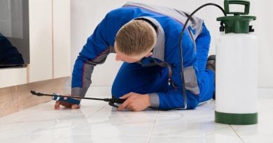 6 Key Questions to Ask Before Hiring a Pest Control Company