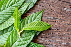 Kratom for Sale in USA