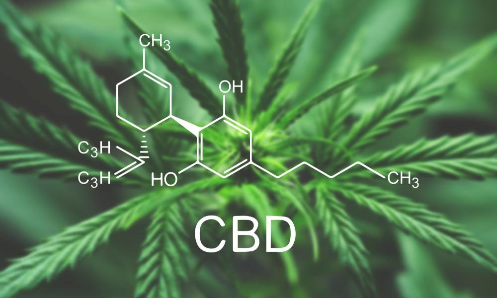 What Is The Difference Between CBD and THC