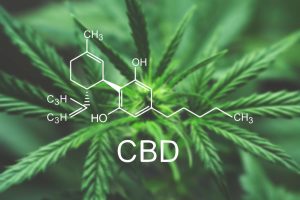 What Is The Difference Between CBD and THC