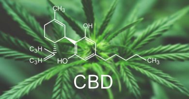 What Is The Difference Between CBD and THC