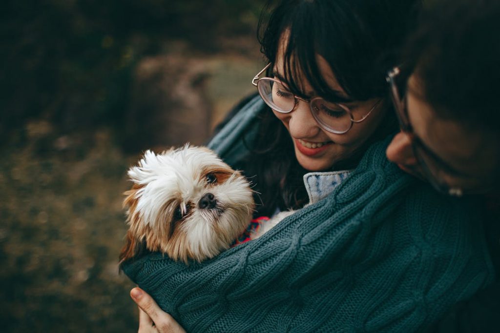 AMAZING TIPS FOR PET OWNERS