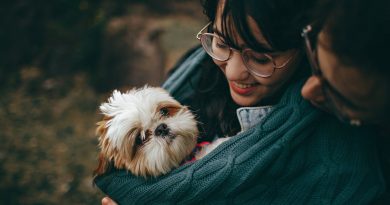 AMAZING TIPS FOR PET OWNERS