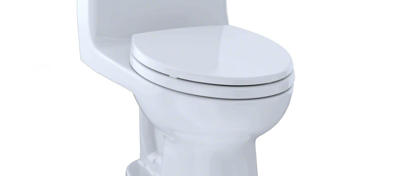 Why Is My Toilet Not Flushing?