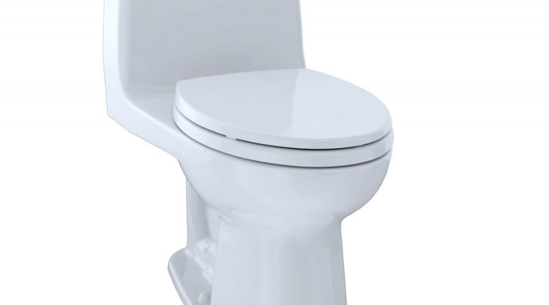 Why Is My Toilet Not Flushing?