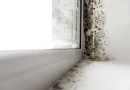 4 Ways Mould Can Affect Your Health