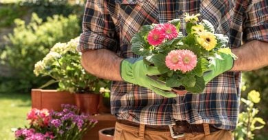 Top 5 Simple Secrets for a Pest-Free Garden 
