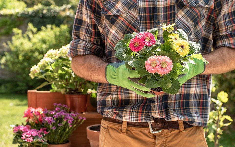 Top 5 Simple Secrets for a Pest-Free Garden 