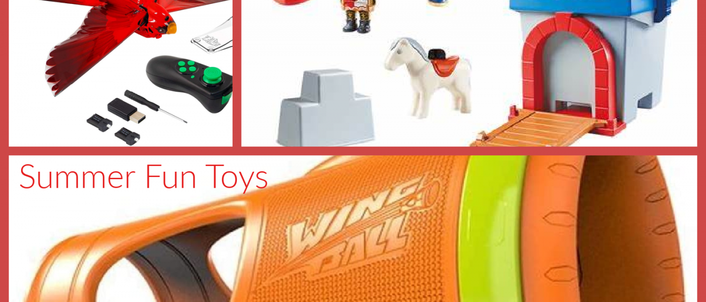 Kick Off Your Summer Fun with PLAYMOBIL, HOG WILD, AND ZING Toys!