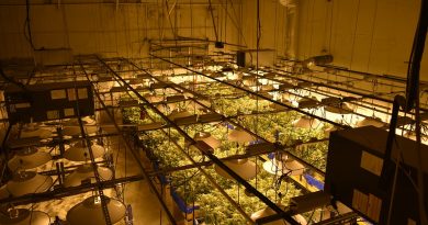 Growing Marijuana Indoors - Tips and Tricks