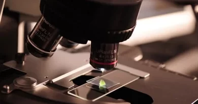 Benefits of Microscopes in Laboratories