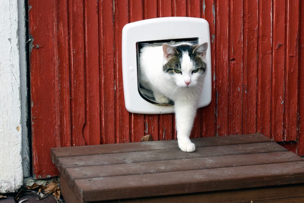 Pet door
