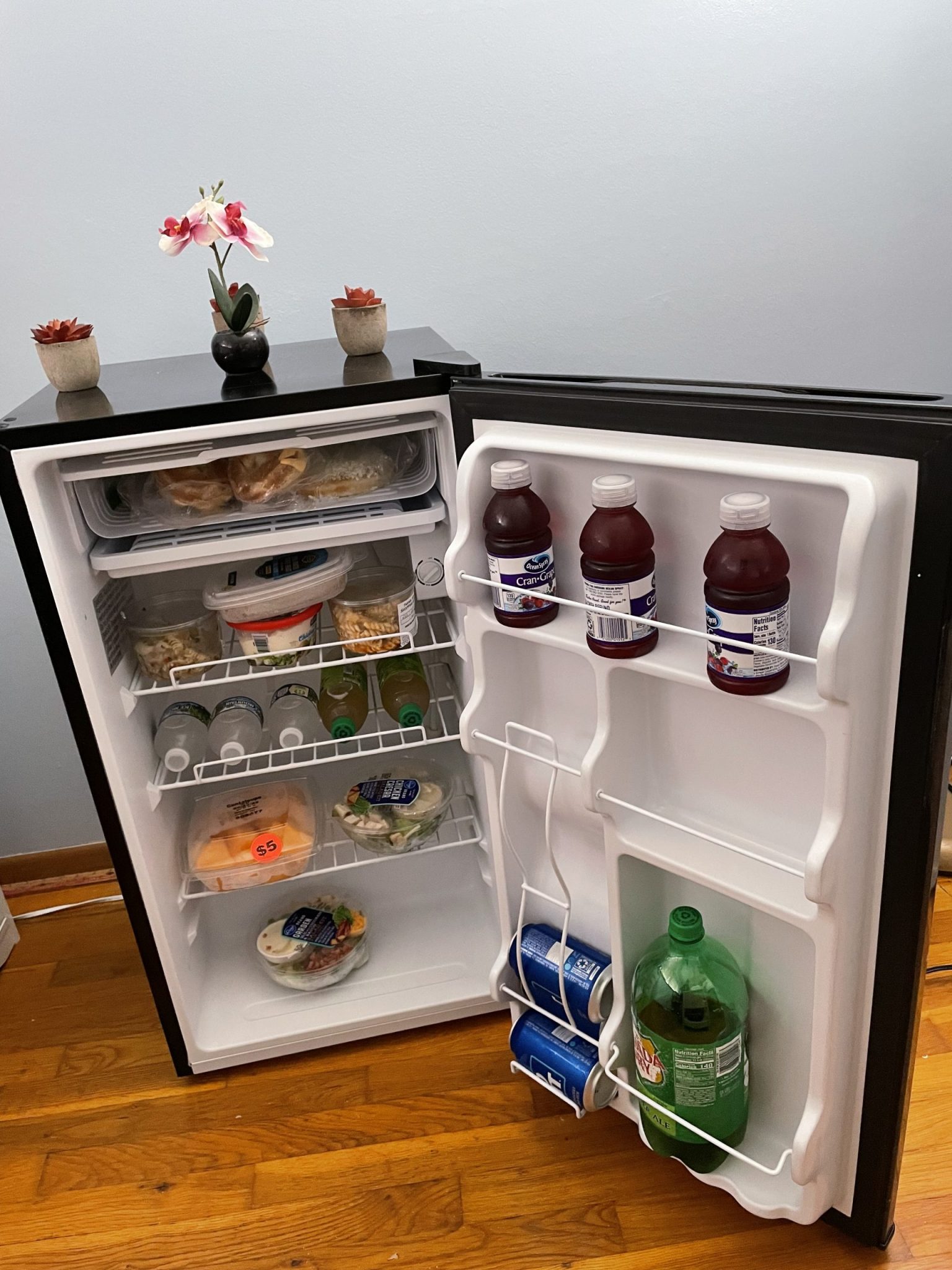 The Newair 3.3 Cu. Ft. Compact Mini Refrigerator with Freezer, Can