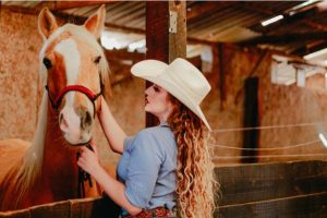 horse
