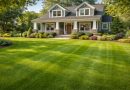 lawn