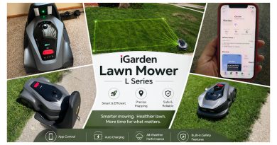 lawn