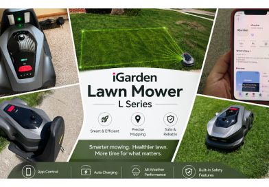 lawn